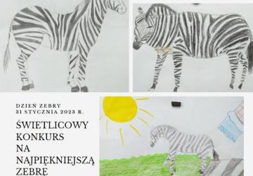 Dzień Zebry