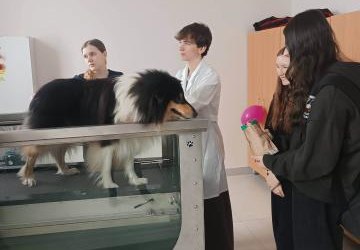 Wyjazd kl. 8 do ZST-W w Trzcianie