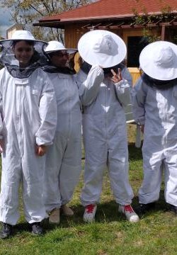 Warsztaty klasy 6 w pasiece w ramach projektu 